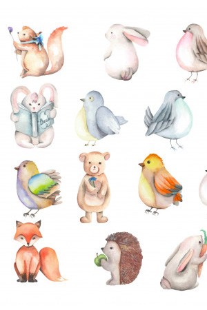 300x450 Free Vector Watercolor Cute Forest Animals Illustrations