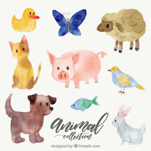 626x626 Lovely Collection Of Watercolor Animals Vector Free Download