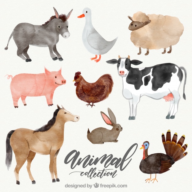 626x626 Variety Of Watercolor Animals Vector Free Download