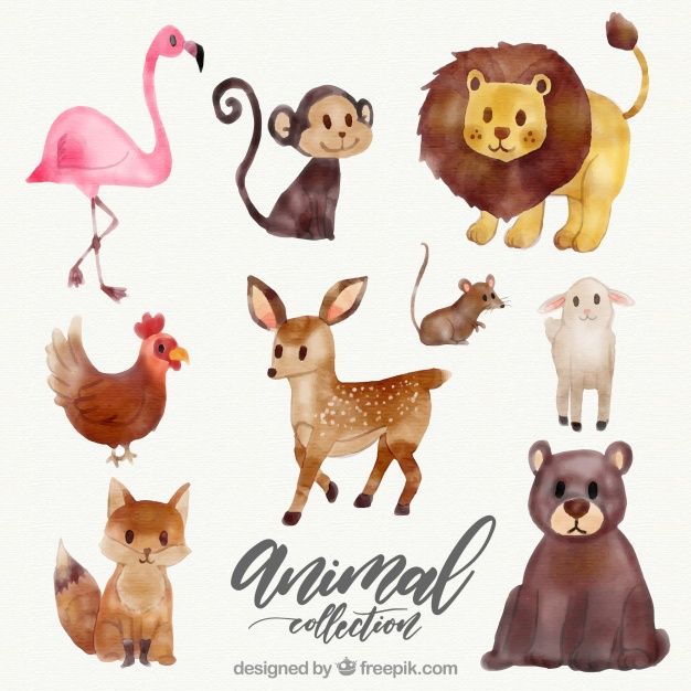 626x626 Watercolor Collection Of Wild Animals Free Vector