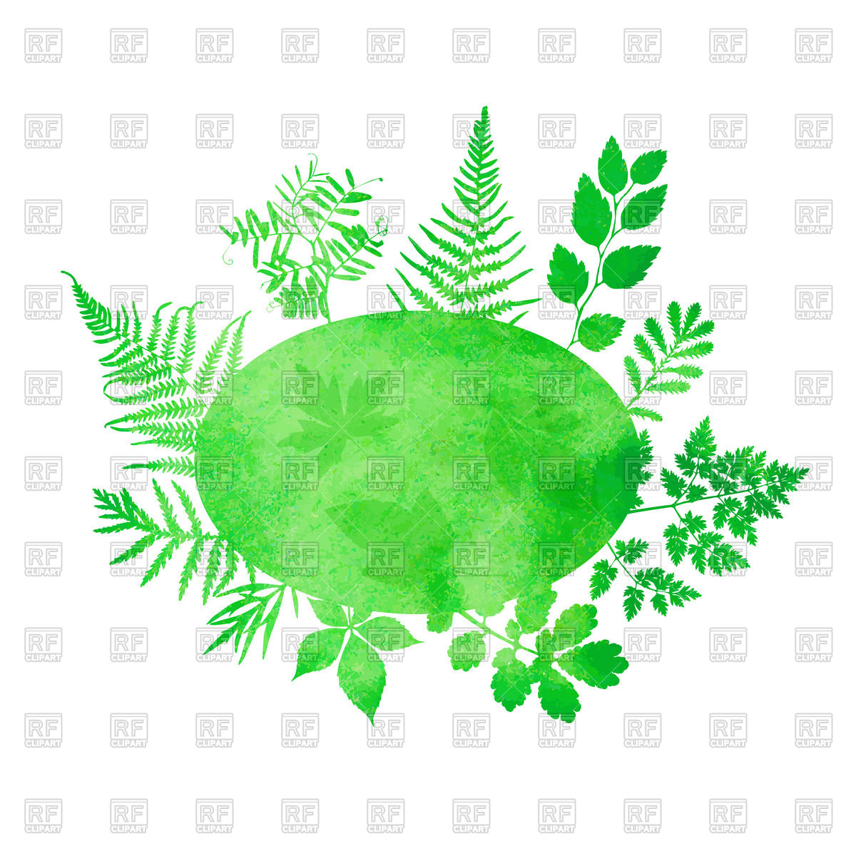 1200x1200 Watercolor Banner With Green Grass And Ferns Vector Image