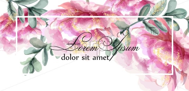 623x302 Colorful Peony Flowers Watercolor Banner Vector Floral Bouquet