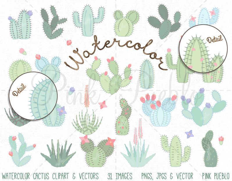 798x624 Watercolor Cactus Clipart And Vectors Pinkpueblo