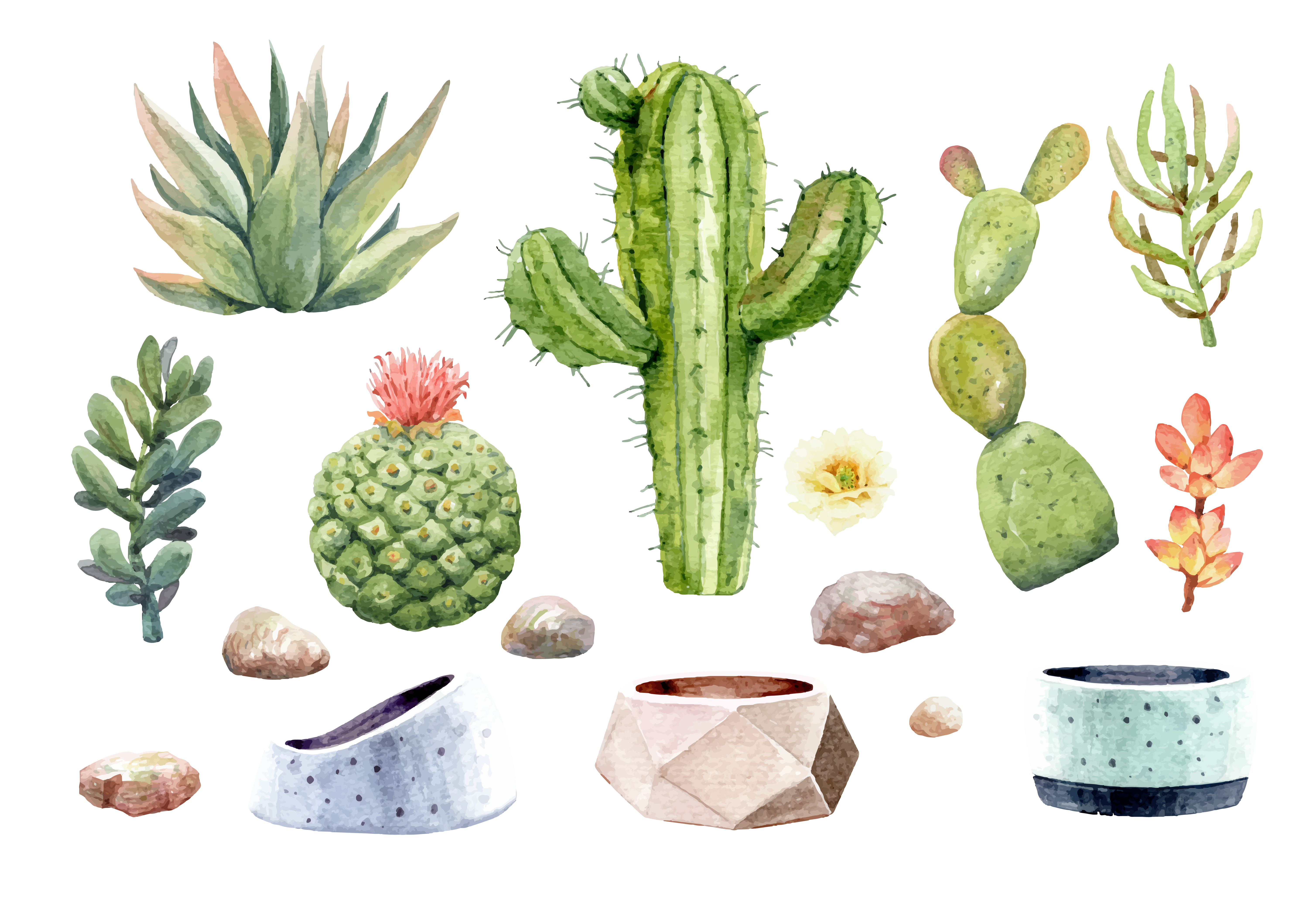 6034x4121 Watercolor Cactus Free Vector Art