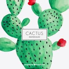 225x225 Afbeeldingsresultaat Voor Cactus Vector Free Download Design