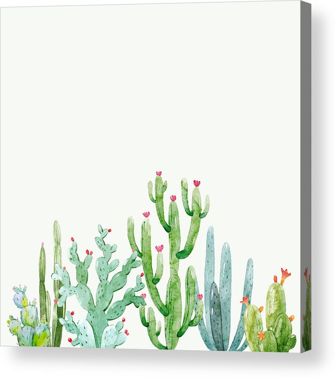 666x750 Watercolor Cactus Vector Composition Acrylic Print