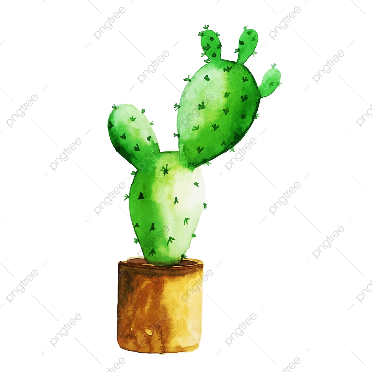 1200x1200 Watercolor Cactus With Pot, Watercolor, Color, Paint Png