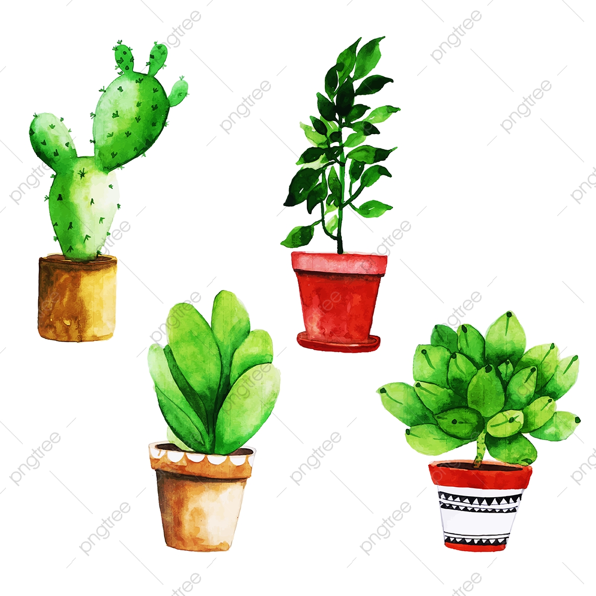 1200x1200 Watercolor Cactus With Pot Collection, Watercolor, Color, Paint
