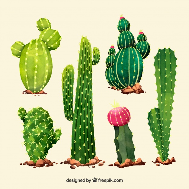 626x626 Artistc Pack Of Watercolor Cactus Vector Free Download