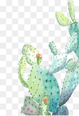 260x381 Backgrond Clipart Watercolor Cactus Hq Picture