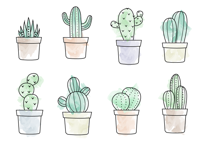 700x490 Free Watercolor Cactus Vector Things To Draw