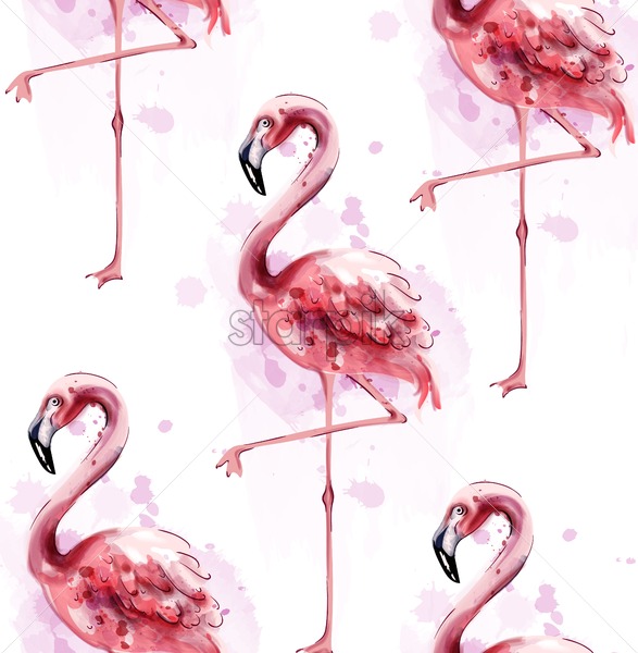 587x600 Flamingo Pattern Watercolor Vector Exotic Bird Cute Poster