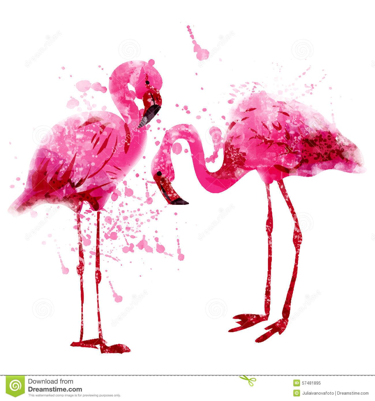 1300x1390 Vector Watercolor Pink Flamingo Couple In Splashes Stock Vector
