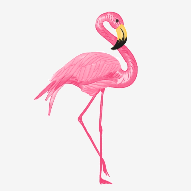 640x640 Watercolor Flamingo Vector, Watercolor, Flamingo, Vector Png