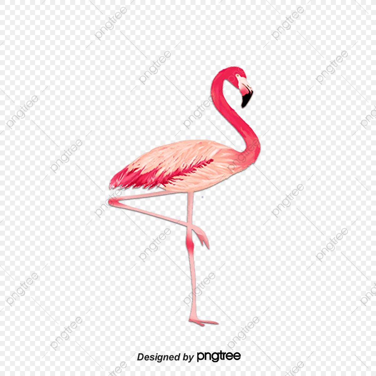 1200x1200 Drawing Flamingo Vector, Drawing Flamingos, Vector Seamless