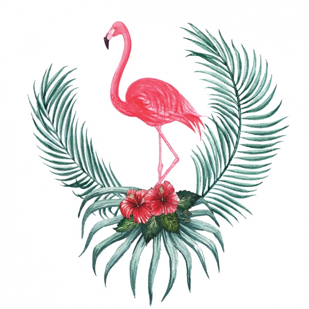 626x626 Watercolor Flamingo Decorative Design Vector Free Download