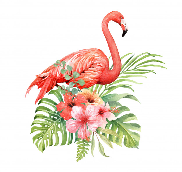 626x591 Watercolor Flamingo In Hibiscus Bouquet Vector Premium Download