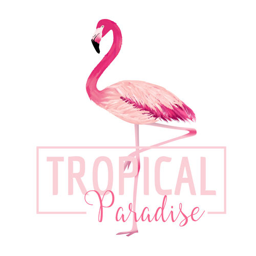 500x500 Watercolor Flamingo Vector Background Free Download