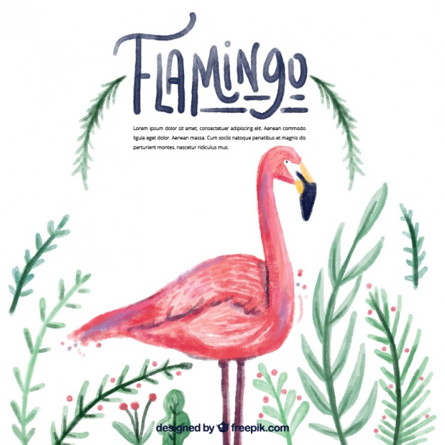 626x626 Watercolor Flamingo With Leaves Vector Free Download
