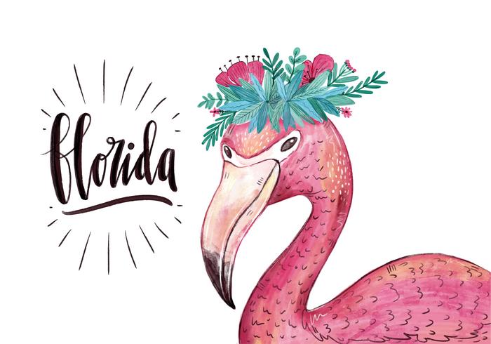 700x490 Flamingo Free Vector Art