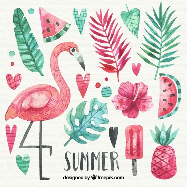 626x626 Flamingo Vectors, Photos And Free Download
