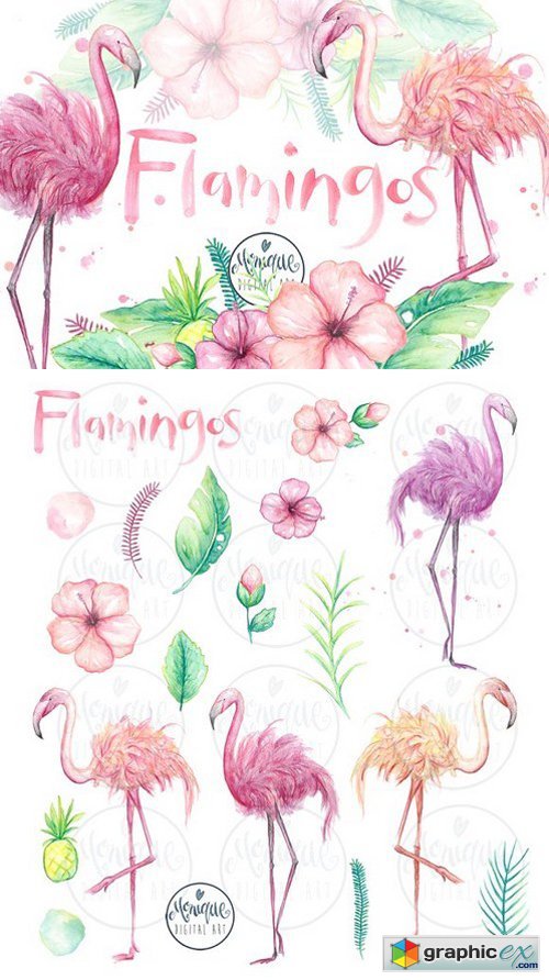 500x892 Flamingo Clipart Watercolor For Free Download And Use Images