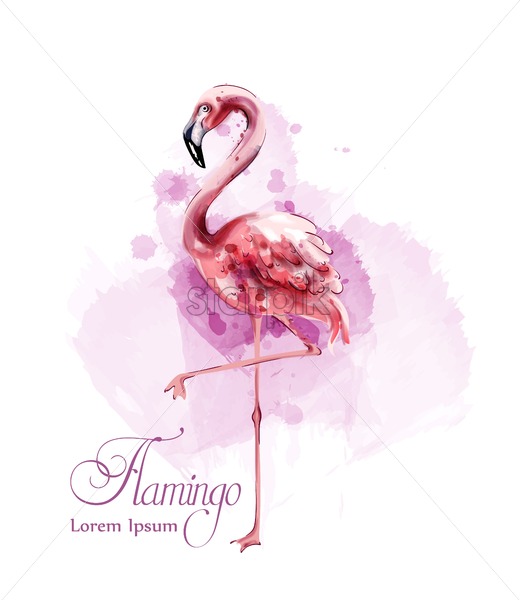 520x600 Flamingo In Watercolor Isolated Vector Exotic Bird Cute Poster