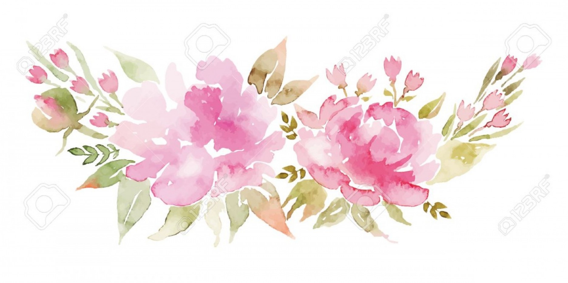 1872x933 Vector Watercolor Pink Flower Bunch Soidergi