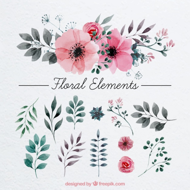 626x626 Floral Decoration Painted With Watercolor Vector Free Download