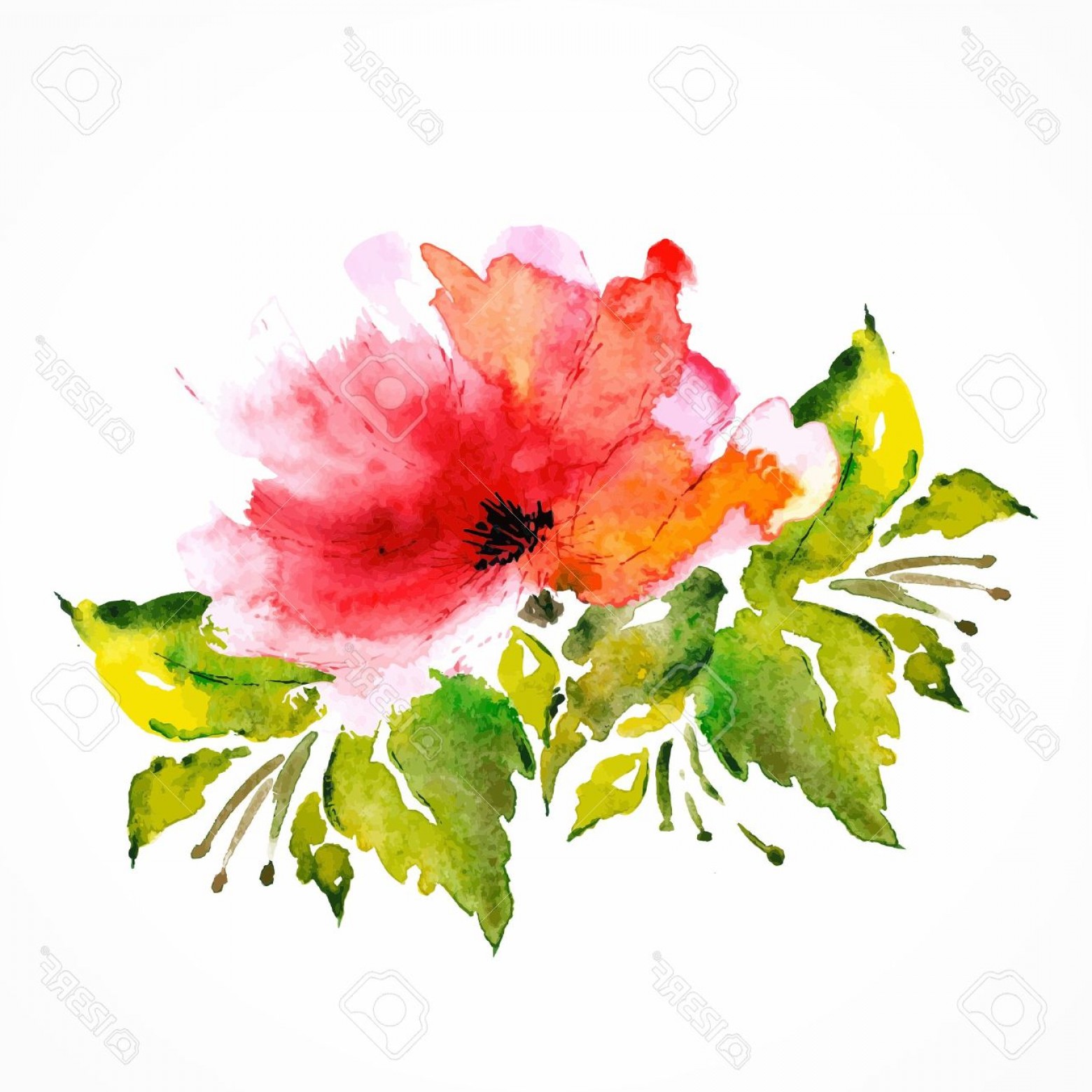 1560x1560 Photored Flower Poppy Watercolor Floral Decoration Floral Bouquet