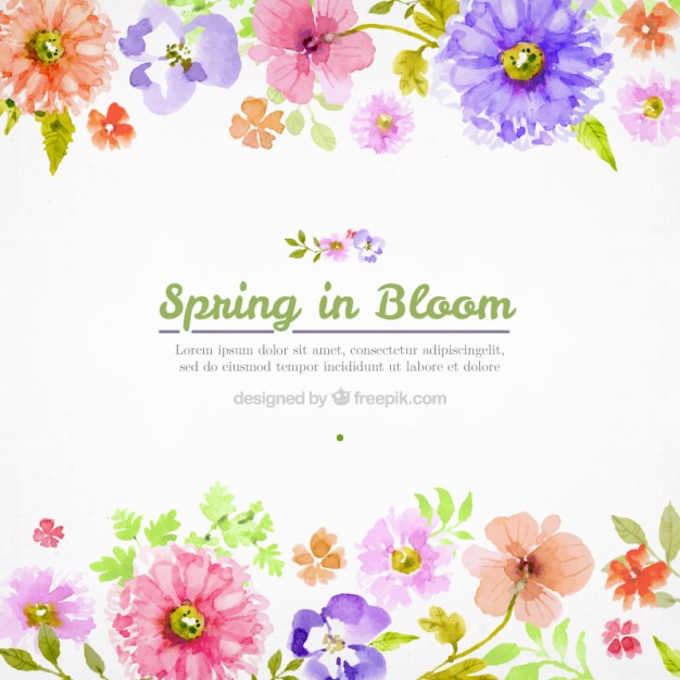 626x626 Watercolor Flowers Spring Background Vector Premium Download