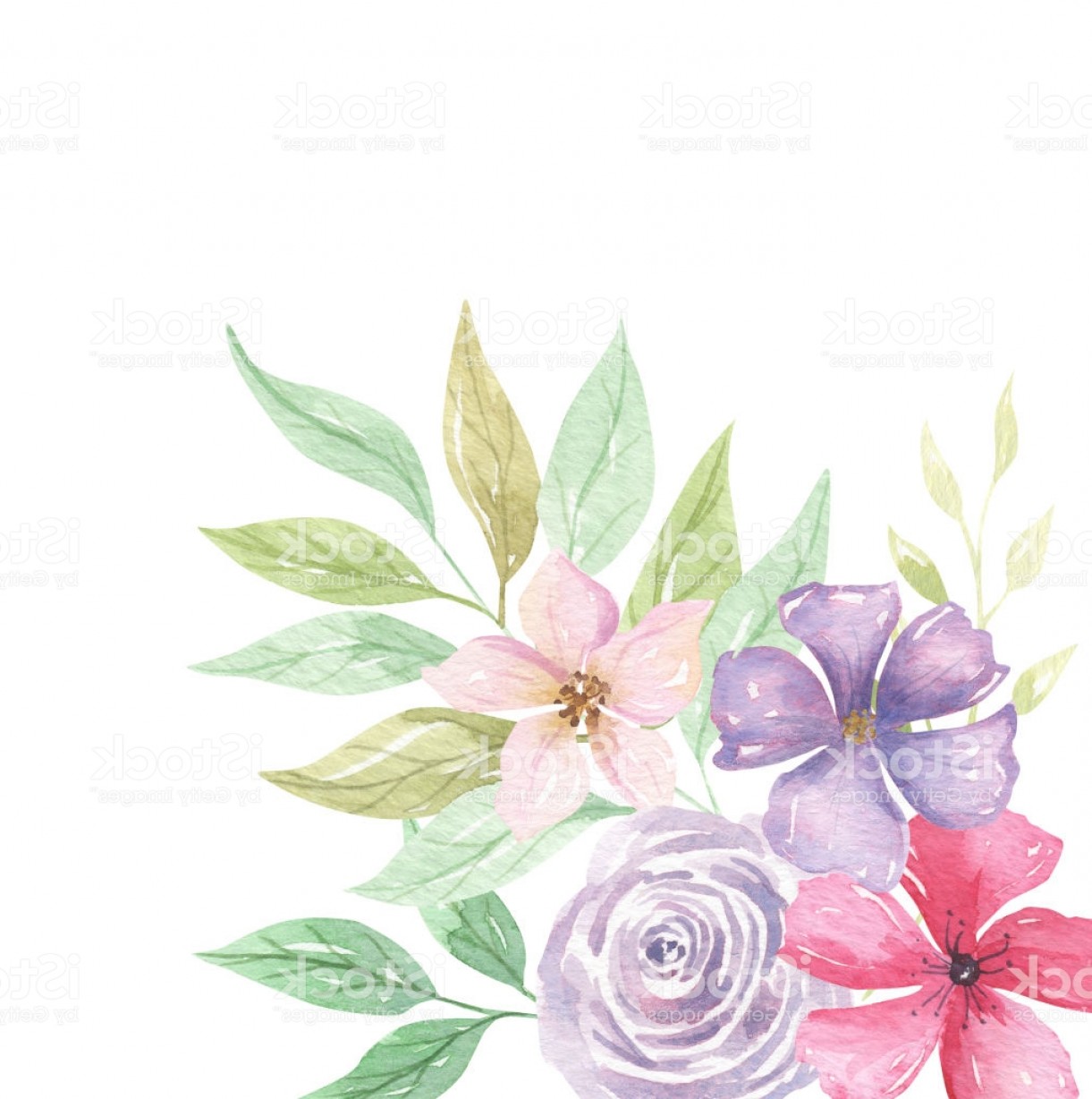1221x1228 Watercolor Floral Pink Frames Corner Borders Purple Flowers Gm