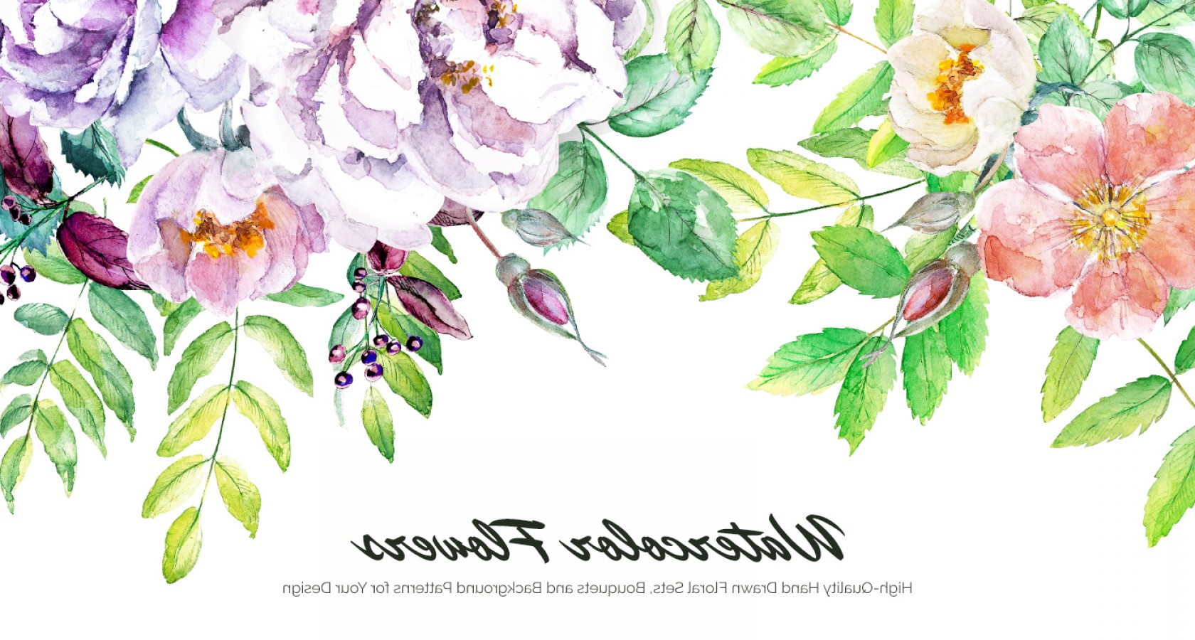 1680x900 High Resolution Vector Watercolor Flowers Lamaison