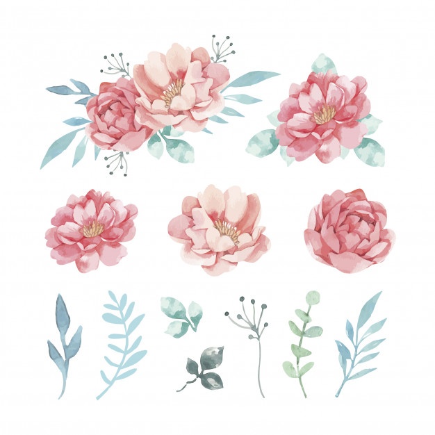 626x626 Variety Of Decorative Watercolor Flowers And Leaves Vector Free