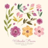200x200 Watercolor Flower Free Vector Art Free Beautiful