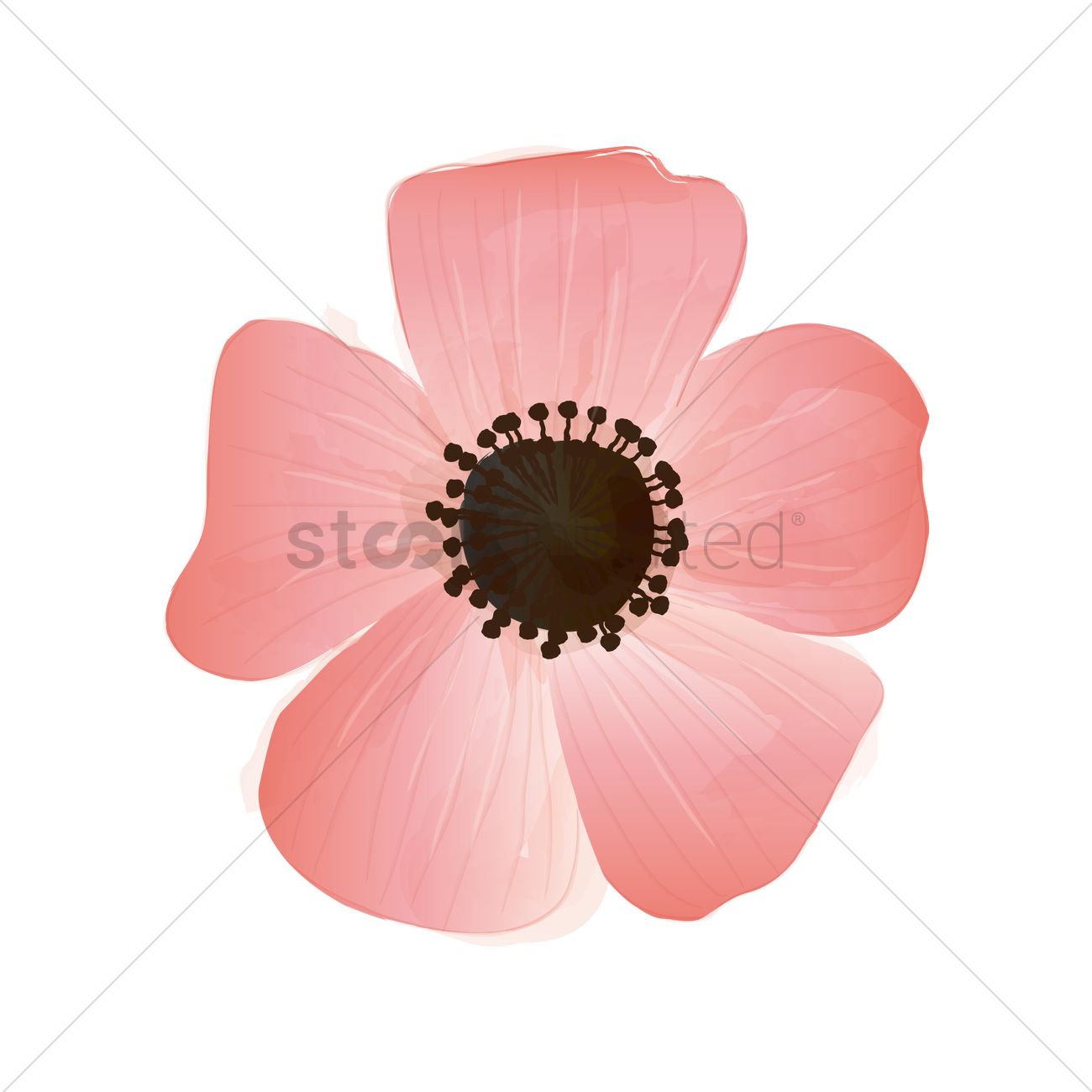 1300x1300 Watercolor Flower Vector Image