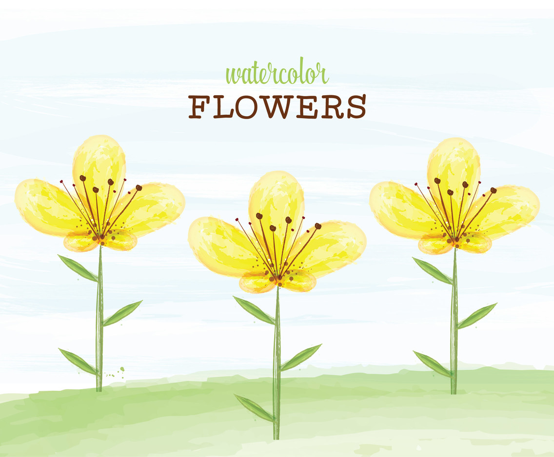 1136x936 Yellow Watercolor Flowers Vector Vector Art Graphics