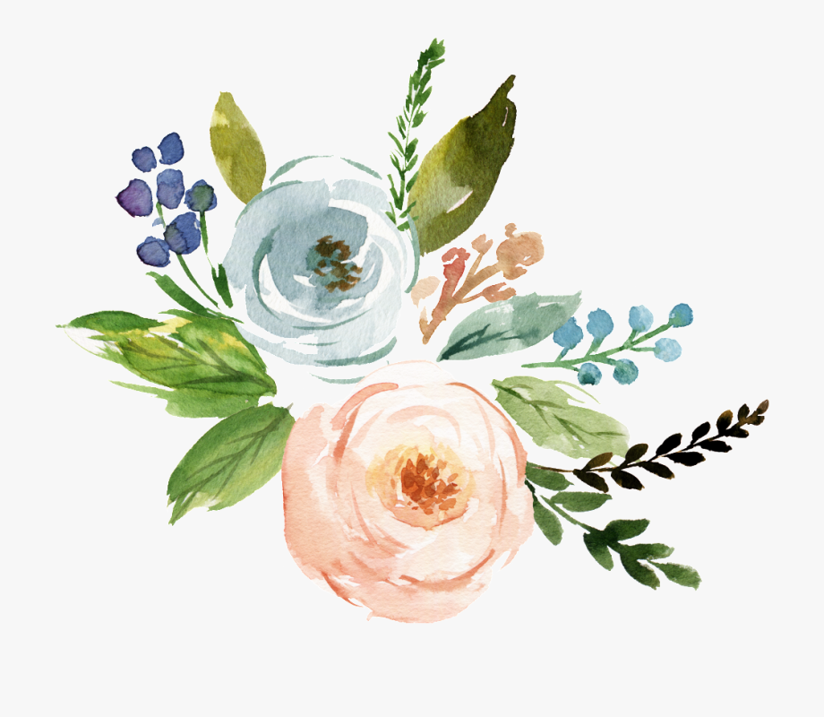 920x800 Fine Watercolor Flower Transparent