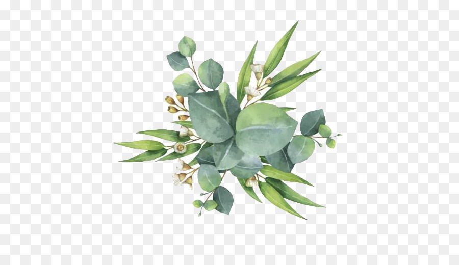 Download Watercolor Greenery Vector at Vectorified.com | Collection ...