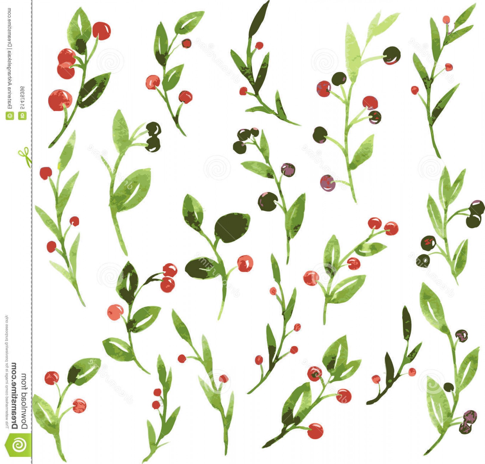 1629x1560 Stock Illustration Vector Watercolor Green Branches Berries Set