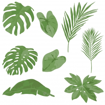 360x360 Vector Greenery Vector, Free Download Watercolor Greenery Border