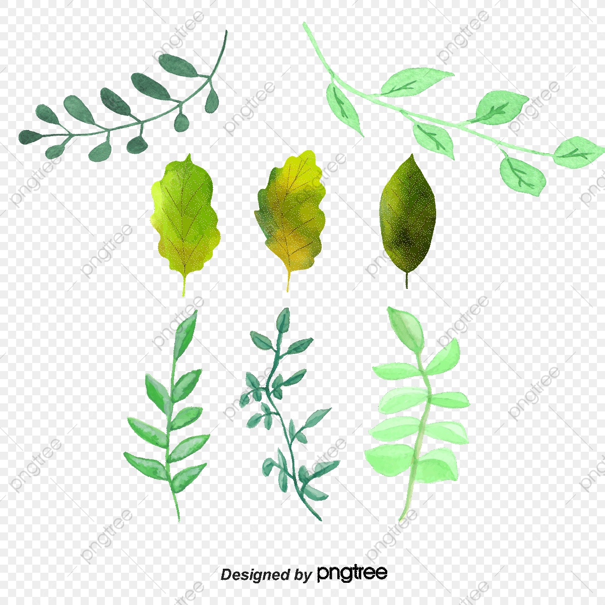 1200x1200 Watercolor Green Leaves Vector Material, Greenery, Leaves