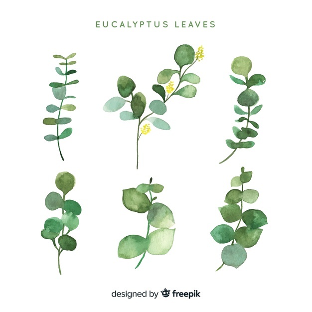 Watercolor Greenery Vector at Vectorified.com | Collection ...