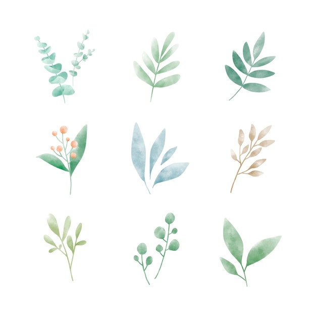 Download Watercolor Greenery Vector at Vectorified.com | Collection ...