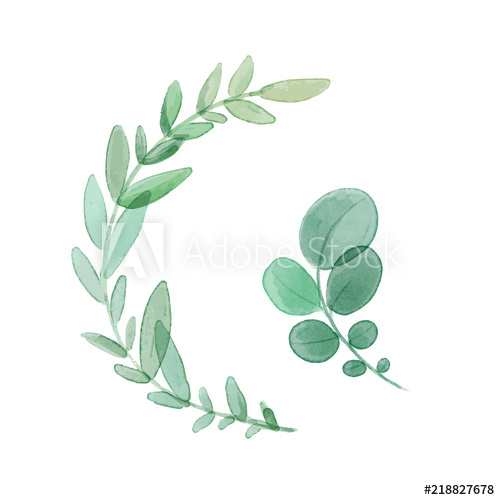 500x500 Set Of Vector Watercolor Leaves Digital Painting