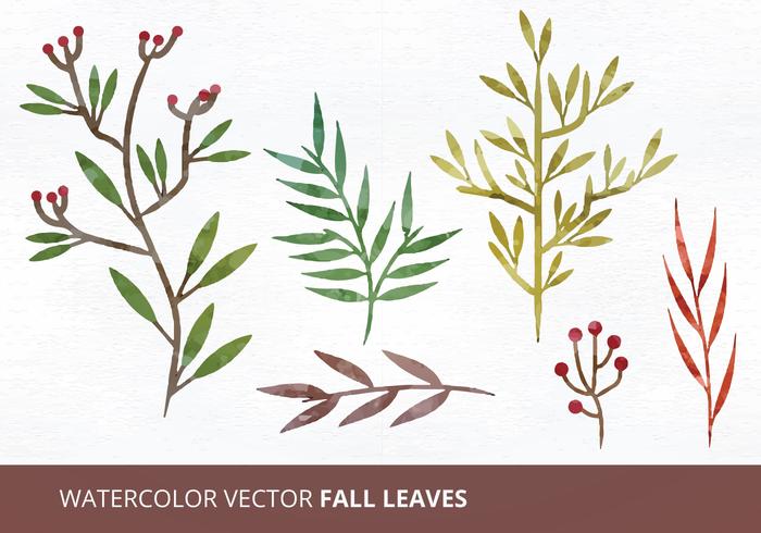 700x490 Vectors Of Leaves Free Vector Graphics Everypixel