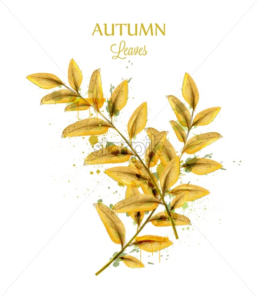 520x600 Autumn Watercolor Leaves Vector Isolated On White Background Fall