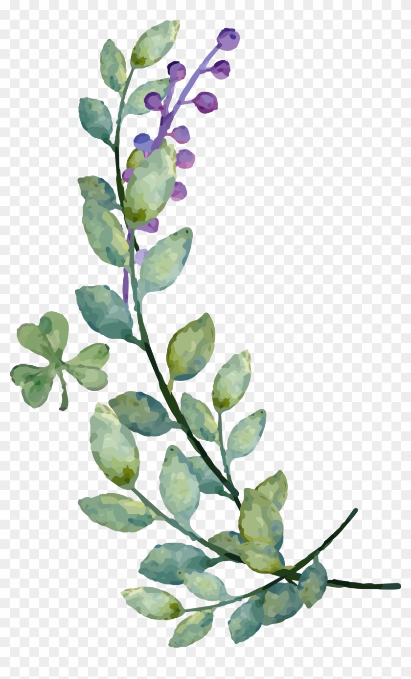 840x1385 Watercolor Leaves Png Image