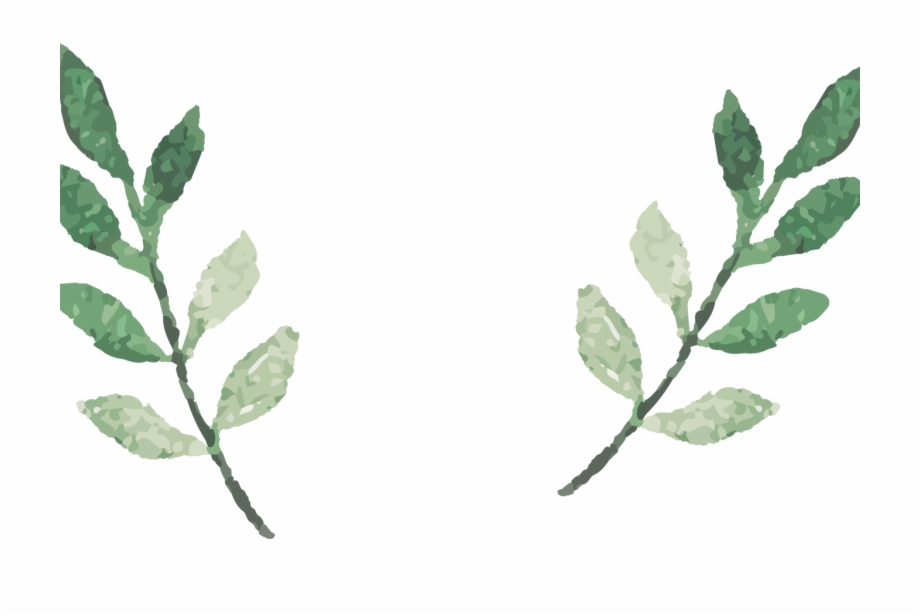 920x615 Watercolor Leaves Vector Transprent Png Free