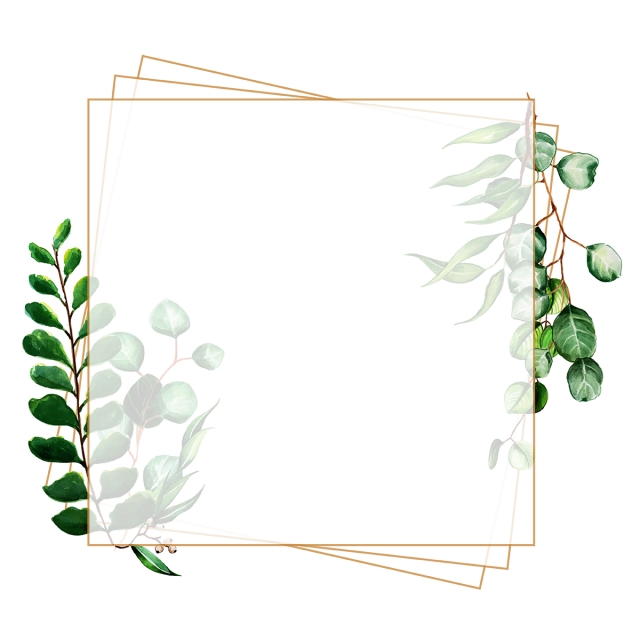 640x640 Beautiful Watercolor Leaves Frame, Watercolor, Color, Colorful Png